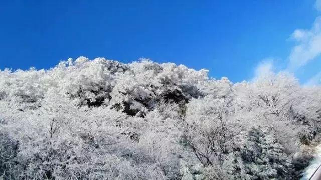 陈忠实:从养鸡到赚455万,只因《白鹿原》付稿费,说了一句傻话